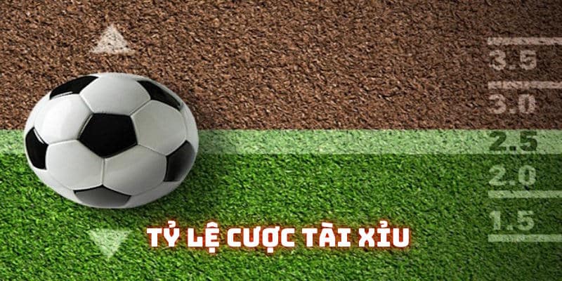 Phiên bản Tài Xỉu sở hữu nhiều cách vào tiền từ tỷ lệ cá cược hôm nay